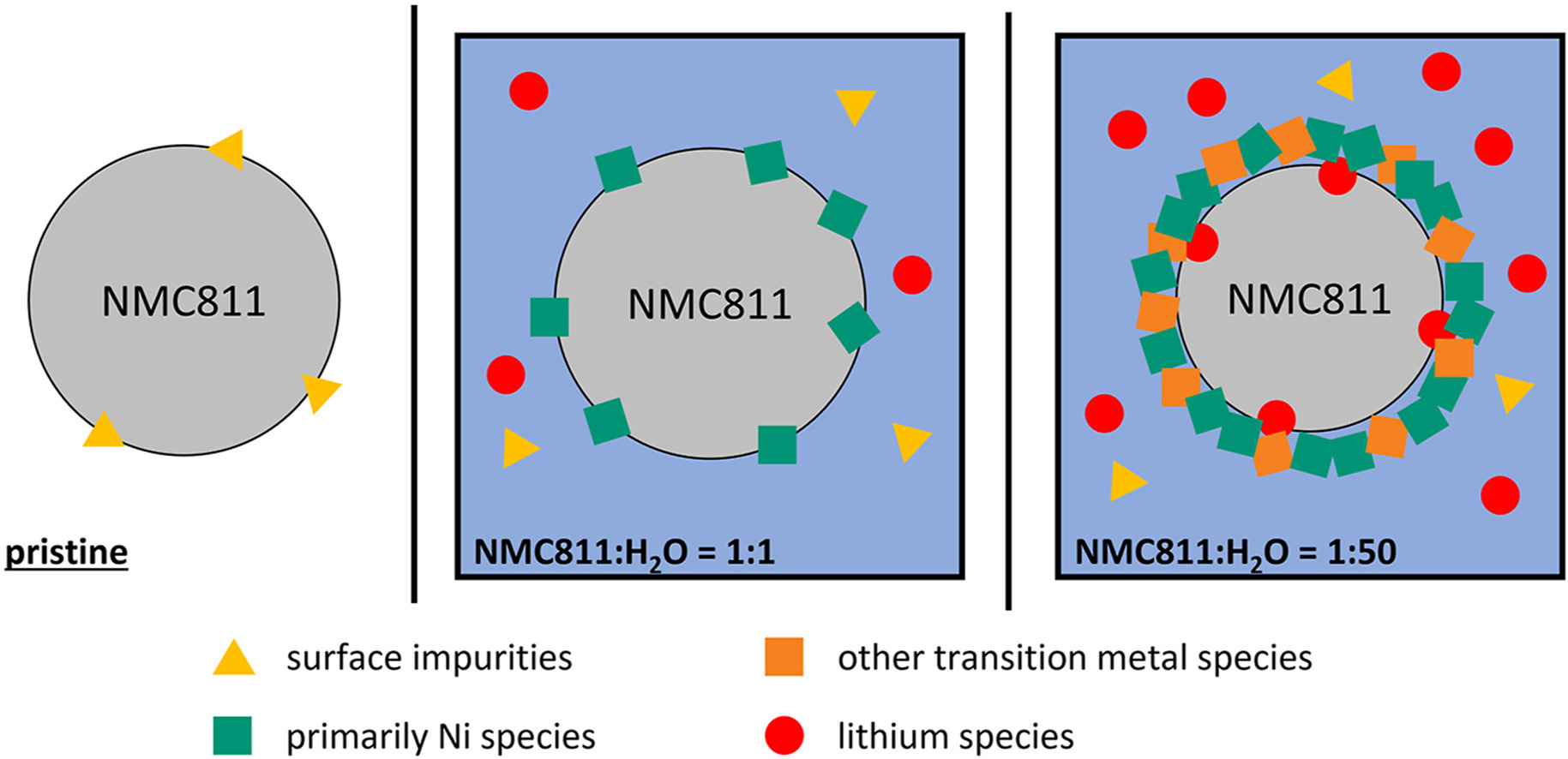 Unraveling the importance of water ratio in direct lithium-ion battery cathode recycling