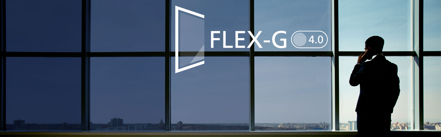 Project FLEX-G 4.0 Electrochromics