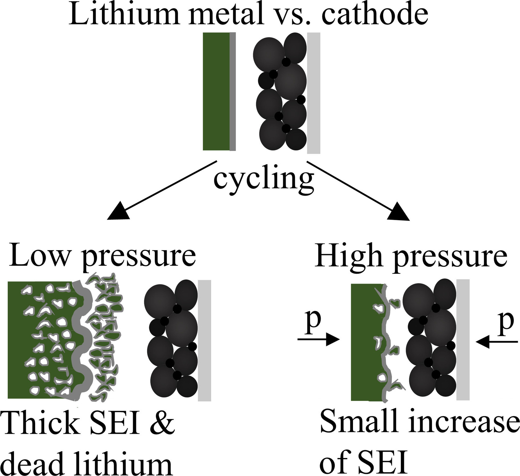 Consequences of Different Pressures and Electrolytes on the Irreversible Expansion of Lithium Metal Half Cells