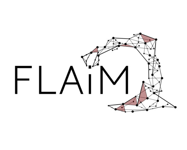 Project FLAiM